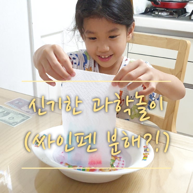  싸인펜의 색깔은 어떻게 만들어졌을까?!(신기한과학놀이,싸인펜 해부,초등과학실험,집콕놀이,초등과학실험키트)