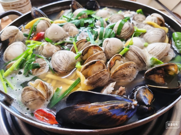  춘천 칼국수 - 명동칼국수