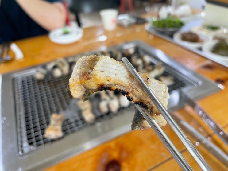  남양주시 별내동 (불암산) :운길산 고창장어 : 별내맛집