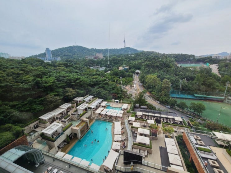  신라호텔 어반아일랜드 & 디럭스룸 후기