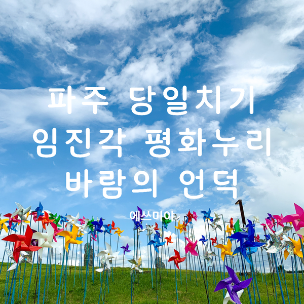  [파주 당일치기] 임진각 평화누리 바람의 언덕 나들이 + 주차장 요금