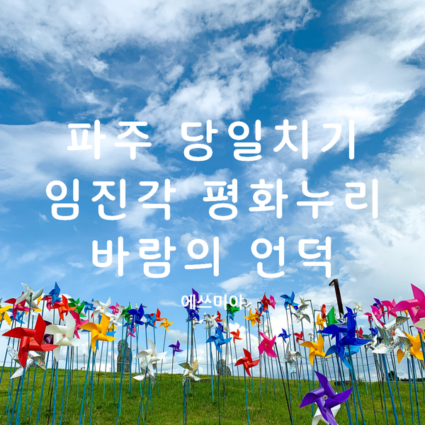 [파주 당일치기] 임진각 평화누리 바람의 언덕 나들이 + 주차장 요금