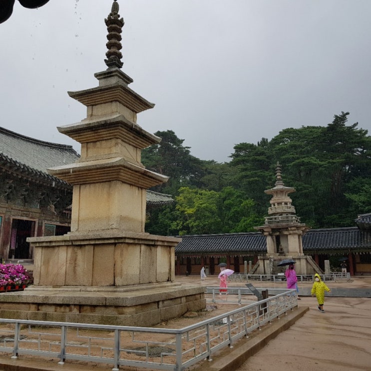  경주 여행 불국사 다녀왔어요.(8. 17)