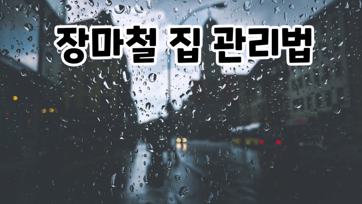  장마철 집 관리법, 습기 제거