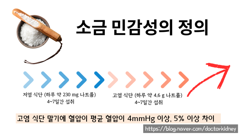 짐이유 이미지