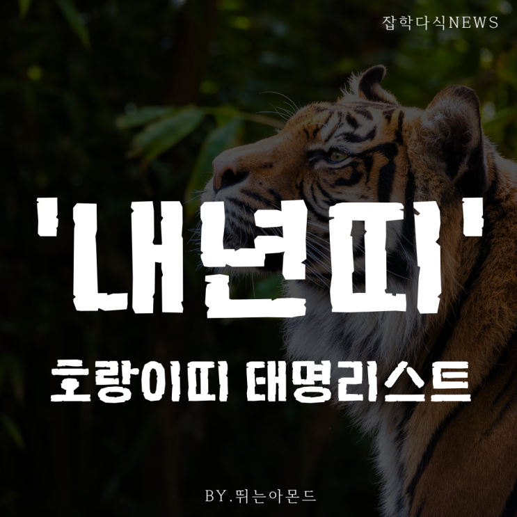  내년띠 구분기준과 내년띠 아기의 태명리스트