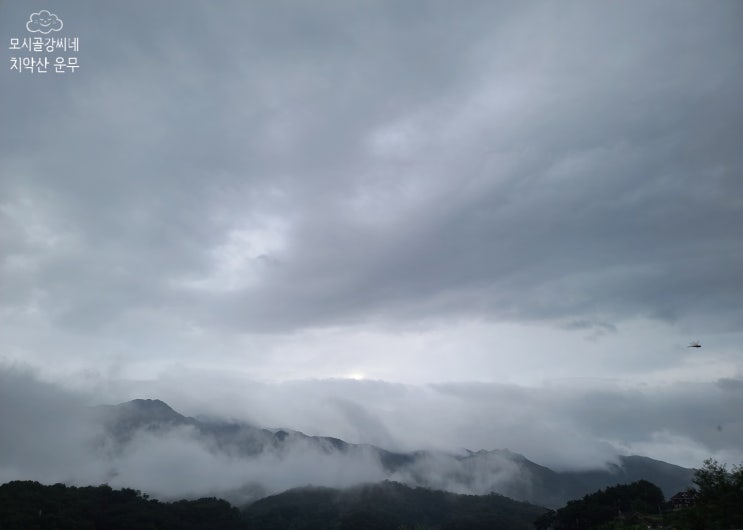  치악산 운무