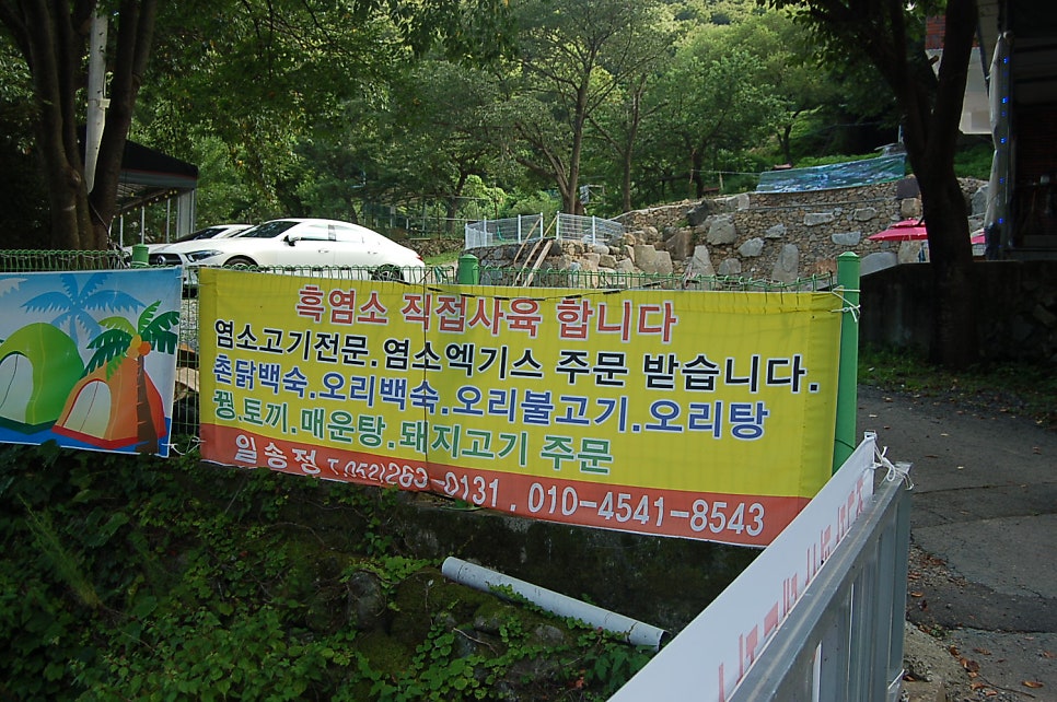 일송정산장 사진 6