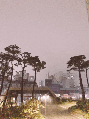  다시, 알찬하루 만들기 ~  (92일차)
