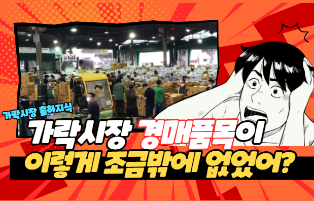  [가락시장 출하상식] 가락시장에 출하하는 농산물은 전부 경매하는 것이 아니었어? (상장품목과 비상장품목)