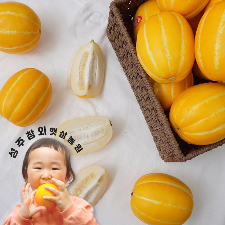 의외로 인기있는 햇살농원 성주 꼬마참외(소과)3kg 5kg 10kg, 1박스, 3kg ··· 의외로 인기있는 햇살농원 성주 꼬마참외(소과)3kg 5kg 10kg, 1박스, 3kg ···