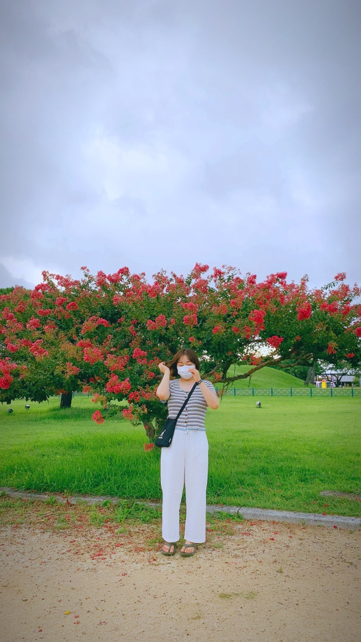  [여행 / 경주] 21.08.18 대릉원~첨성대