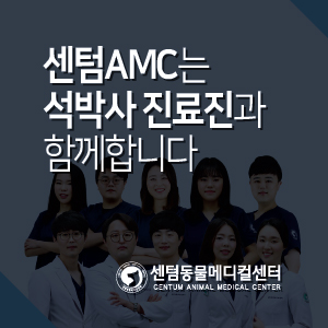  석박사 진료진과 함께하는 동물병원, 부산 센텀동물메디컬센터