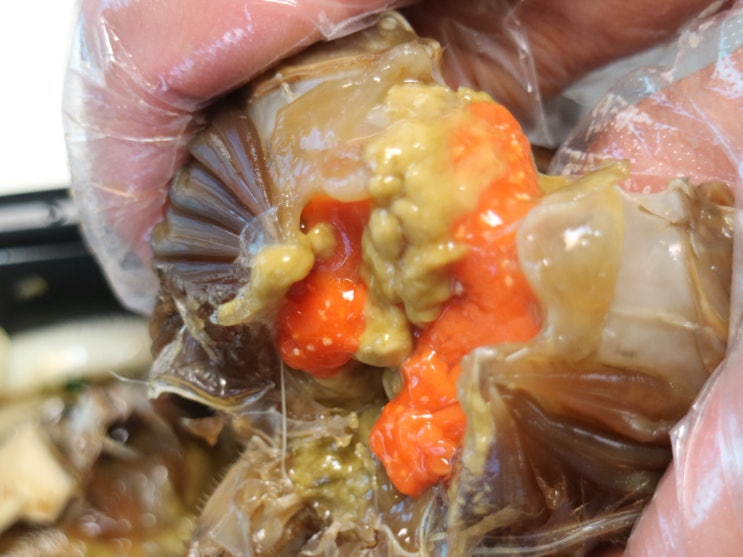  잠실게장맛집추천 놀부간장게장잠실점에서 게장배달
