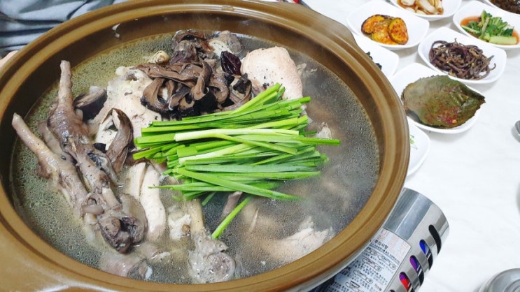  청주 봉명동 백숙 한식경) 토종 능이 닭 으로 몸보신 제대로!