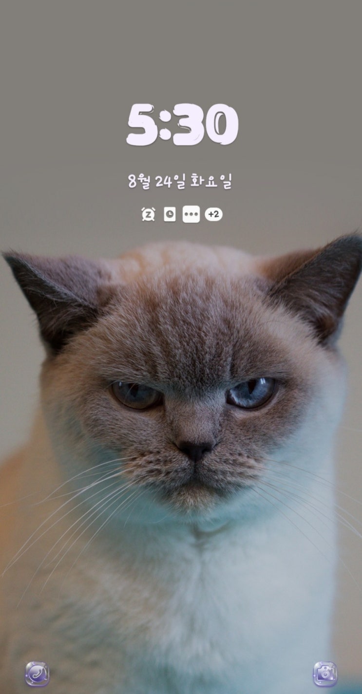  [미라클 모닝 D-93] 이런 날도 있지 뭐!! 내일부터 잘하면 되지!!