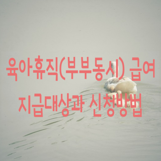  육아휴직(부부동시) 급여 지급대상과 신청방법