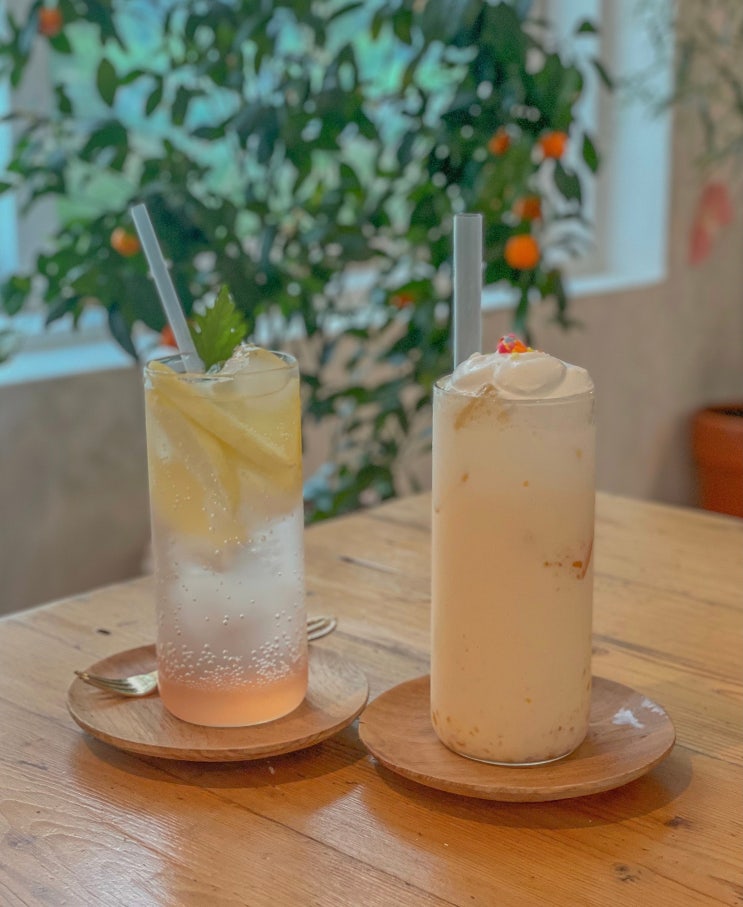  용인 처인구 애견동반가능카페 나무기린 플라워카페