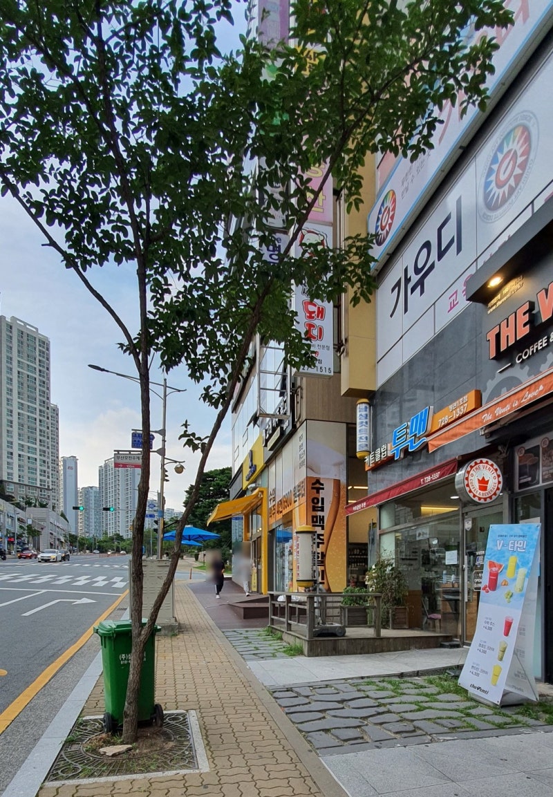 사진 3