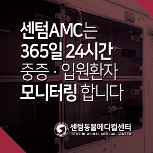  부산 센텀동물메디컬센터는 365일 24시간 중증 · 입원환자 모니터링 합니다.