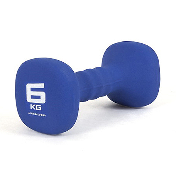 잘나가는 아이워너 네오프렌 사각아령, 6kg, 1개 추천합니다 잘나가는 아이워너 네오프렌 사각아령, 6kg, 1개 추천합니다