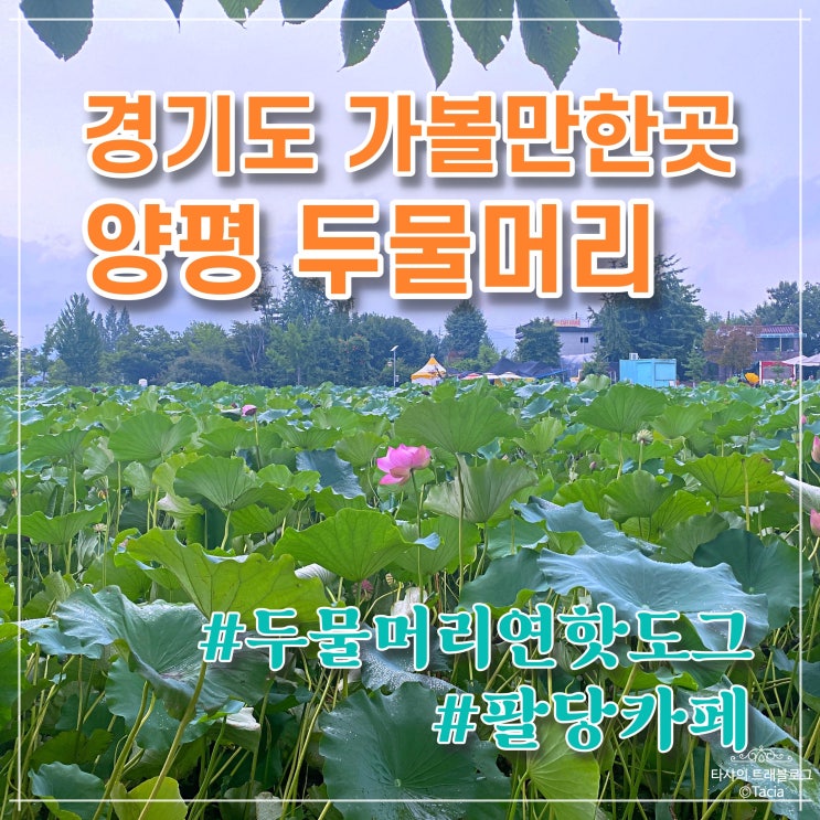 경기도 가볼만한곳 - 양평 두물머리 연핫도그, 팔당 인플럭스