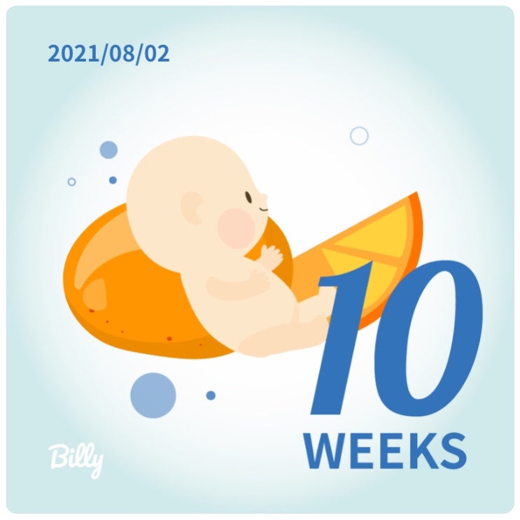  [ 임신 10-12주차 ]