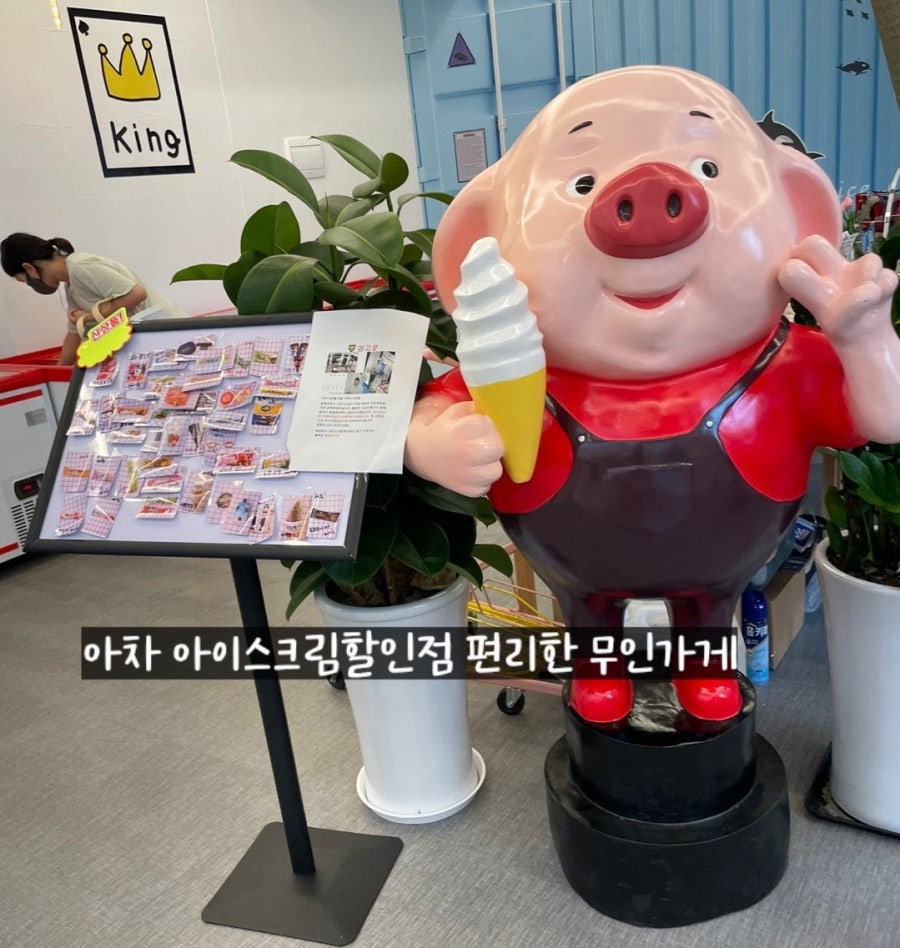 아차 아이스크림할인점 양곡점 사진 1