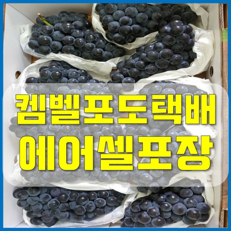  켐벨포도 에어포장 택배 판매합니다