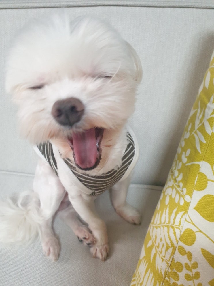  몽이왈 회개하라 용서할지어다