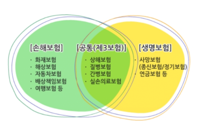 일반·장기보험부터 자동차보험까지...손해보험 파헤치기 일반·장기보험부터 자동차보험까지...손해보험 파헤치기