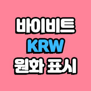  바이비트 원화표시 KRW 설정 방법