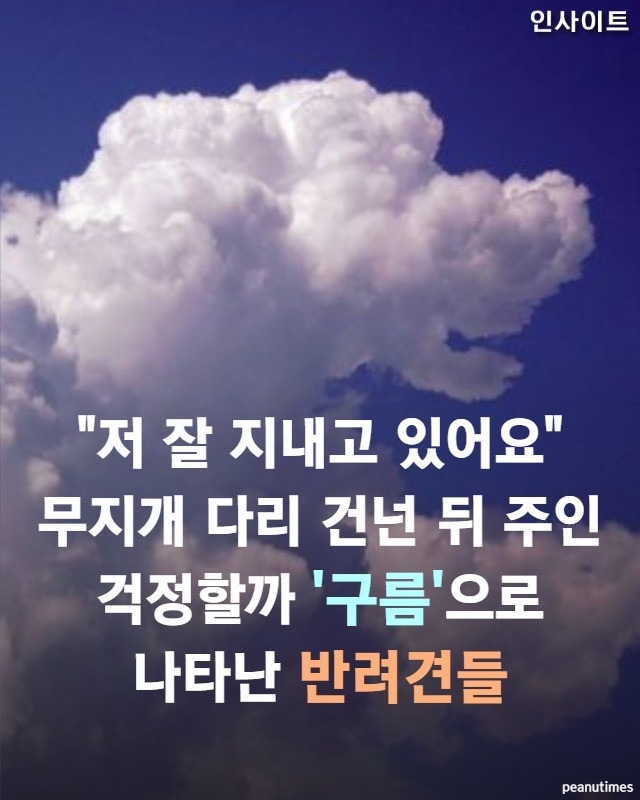 (공유) 무지개 다리 건넌뒤 주인 걱정할까봐 구름으로 나타난 반려견들 (공유) 무지개 다리 건넌뒤 주인 걱정할까봐 구름으로 나타난 반려견들