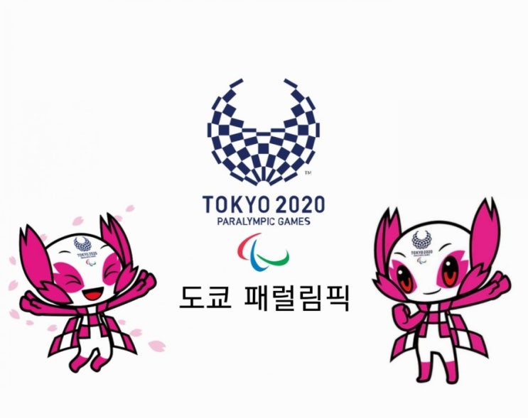  2020 도쿄 패럴림픽 한국 선수단의 이번 대회 목표는?