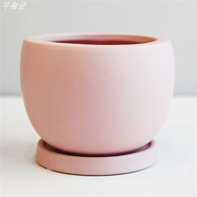  08월 25일기준 초특가상품 도시정원 모던 반구 도자기 화분 진정한 리뷰