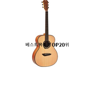  맘에드는 어쿠스틱기타 이건 사야돼!