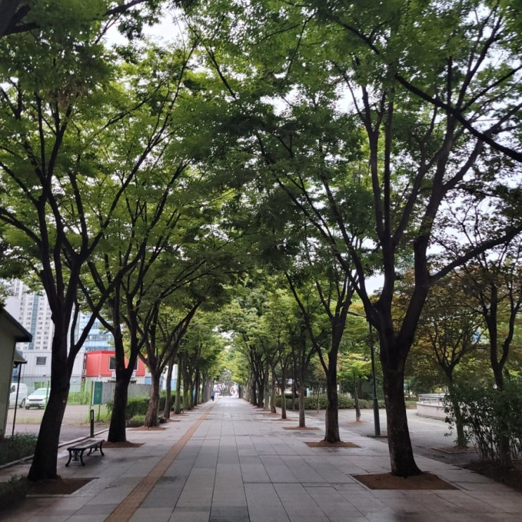  오늘의 출근 길_210825