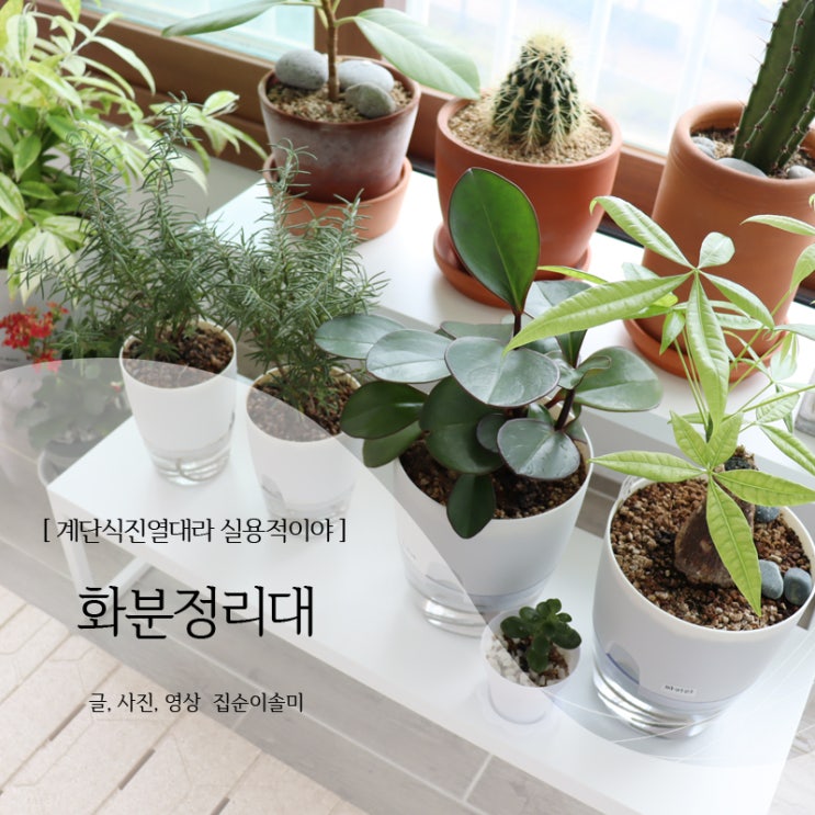  화분정리대 철제라 깔끔한 와고트 계단식진열대