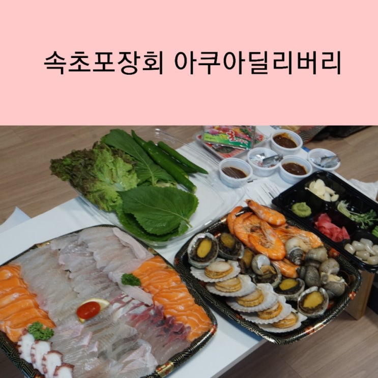 속초 포장회 맛집 속초 아쿠아딜리버리 회포장 모듬회 해산물 최고
