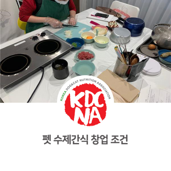  강아지 고양이 수제간식 창업 조건 [펫푸드자격증/한국반려동물영양협회/전주/익산/군산/충주/청주]_857
