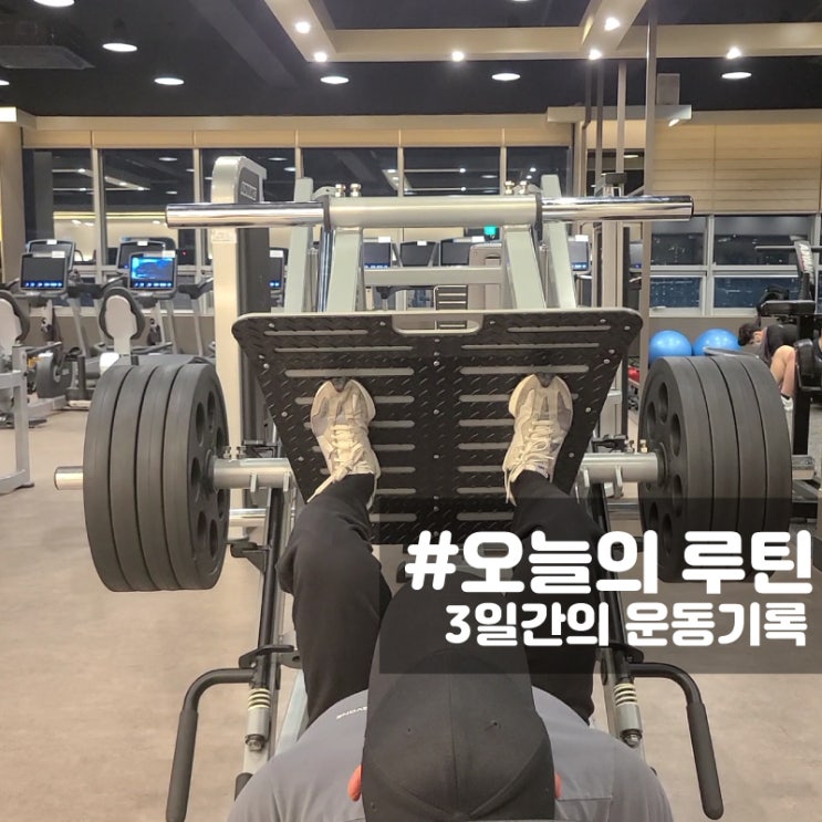  린매스업 운동 루틴 3일간의 기록