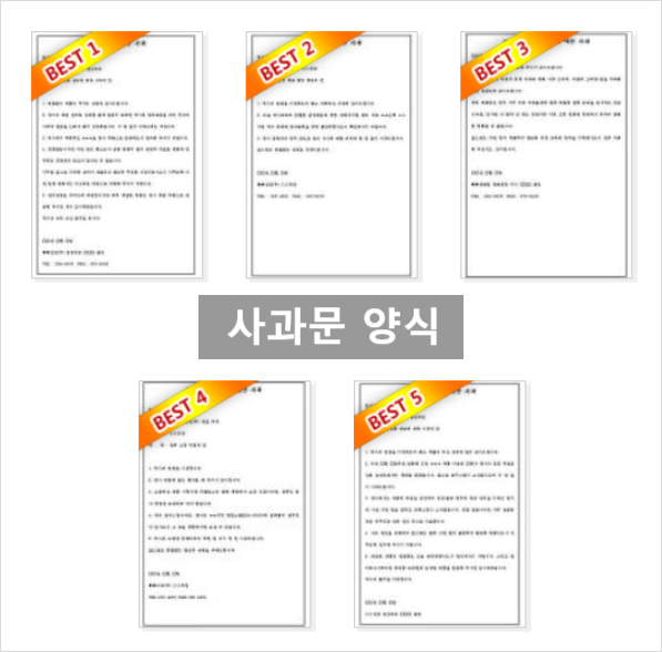 사과문 양식과 예시 : 네이버 블로그