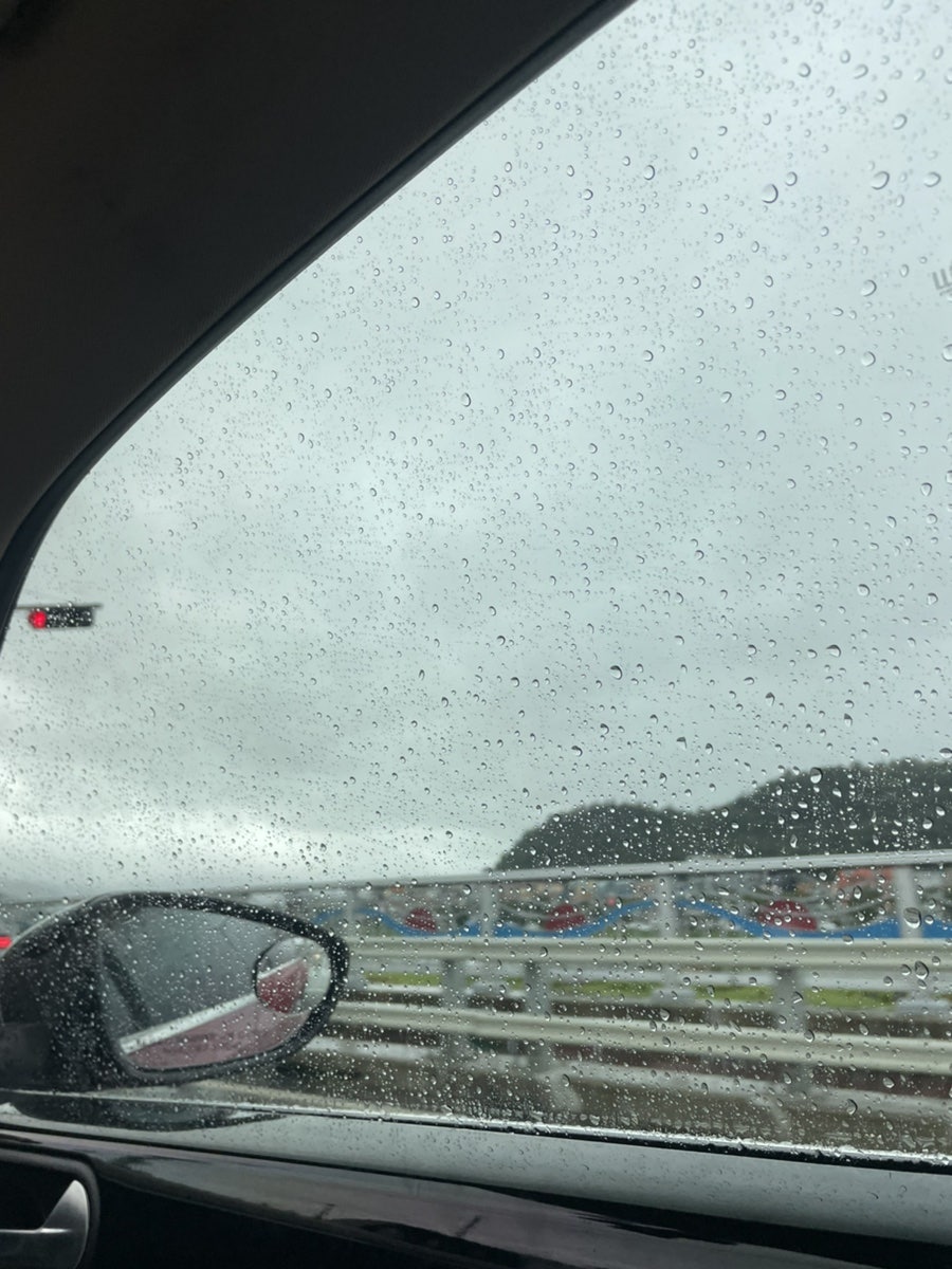 대나무집 사진 1