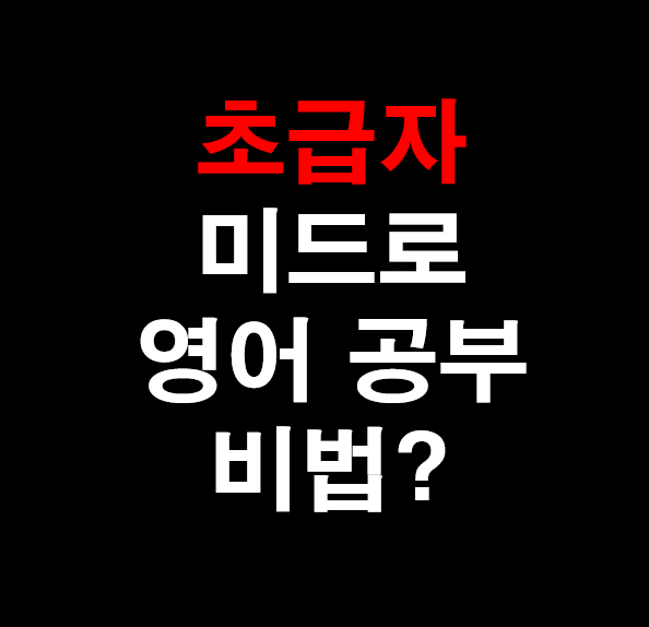  14.[성인 영어] 초급자가 미드로 영어공부 하는 비법?