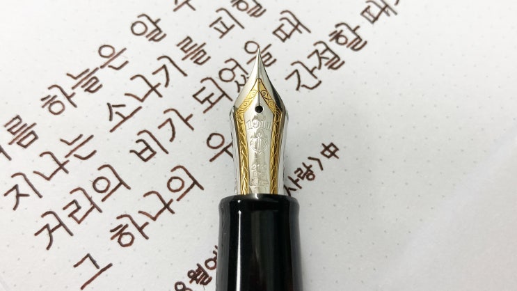  [필사] 여름 하늘은 알 수 없다 (만년필 실제 사용 영상, 세일러프로기어 21k , 정자체)