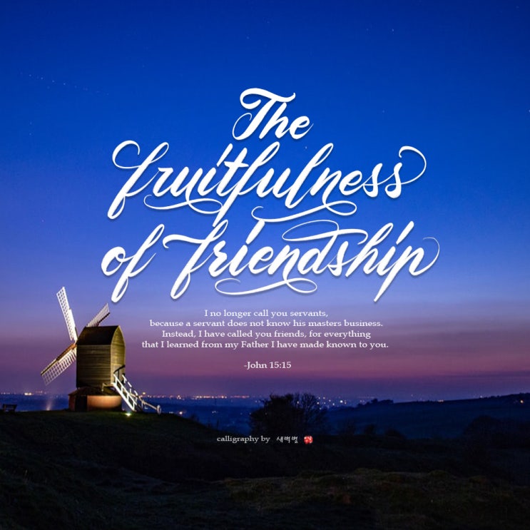 성경말씀 영문캘리그라피 요한복음 15장 15절