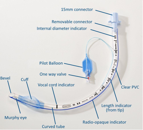 기관내 삽관 튜브 : 튜브의 특징(Endotracheal tube), murphy eye, cuff, pilot ballon, bevel