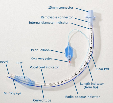  기관내 삽관 튜브 : 튜브의 특징(Endotracheal tube), murphy eye, cuff, pilot ballon, bevel
