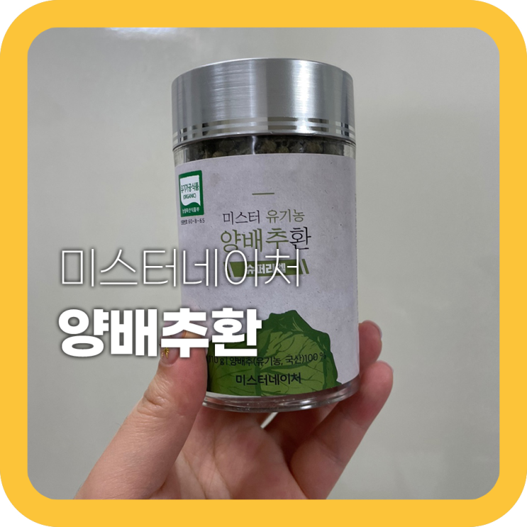 양배추환 효능 부작용 먹는방법까지 양배추환 효능 부작용 먹는방법까지