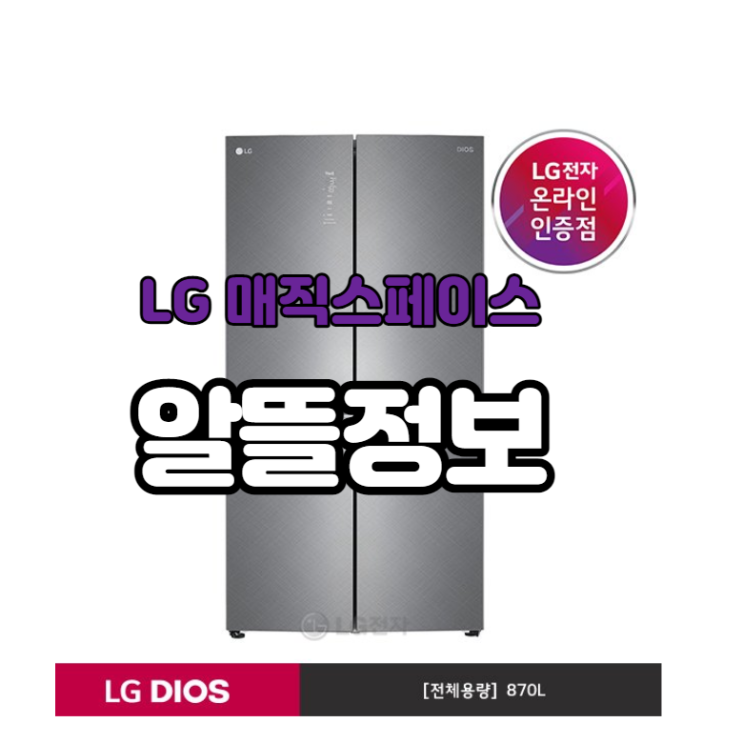  F873SN35E 엘지 디오스 매직스페이스 냉장고 알뜰정보!!